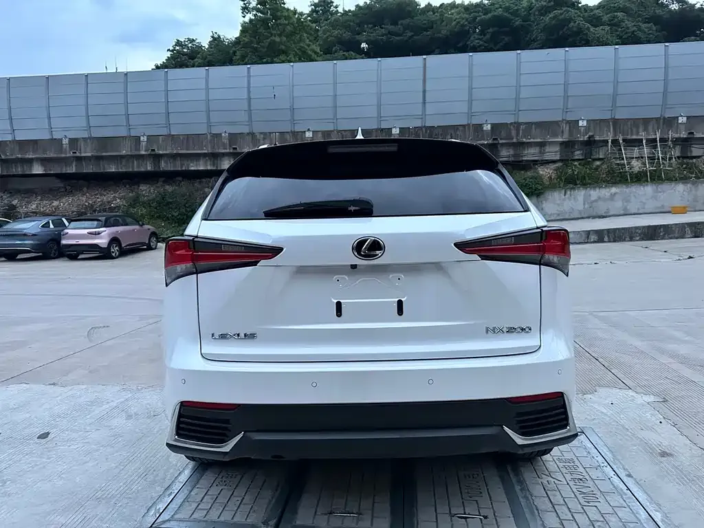 Lexus NX 2021 из CN, фото 3