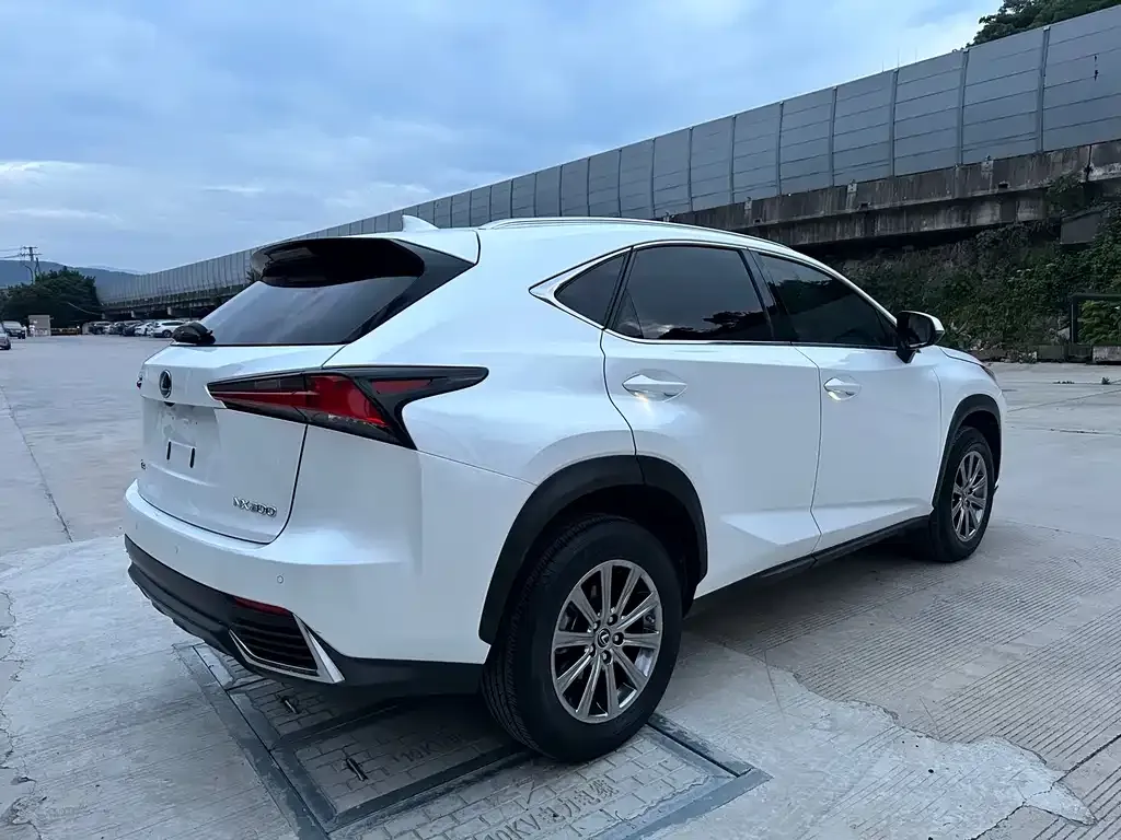 Lexus NX 2021 из CN, фото 7