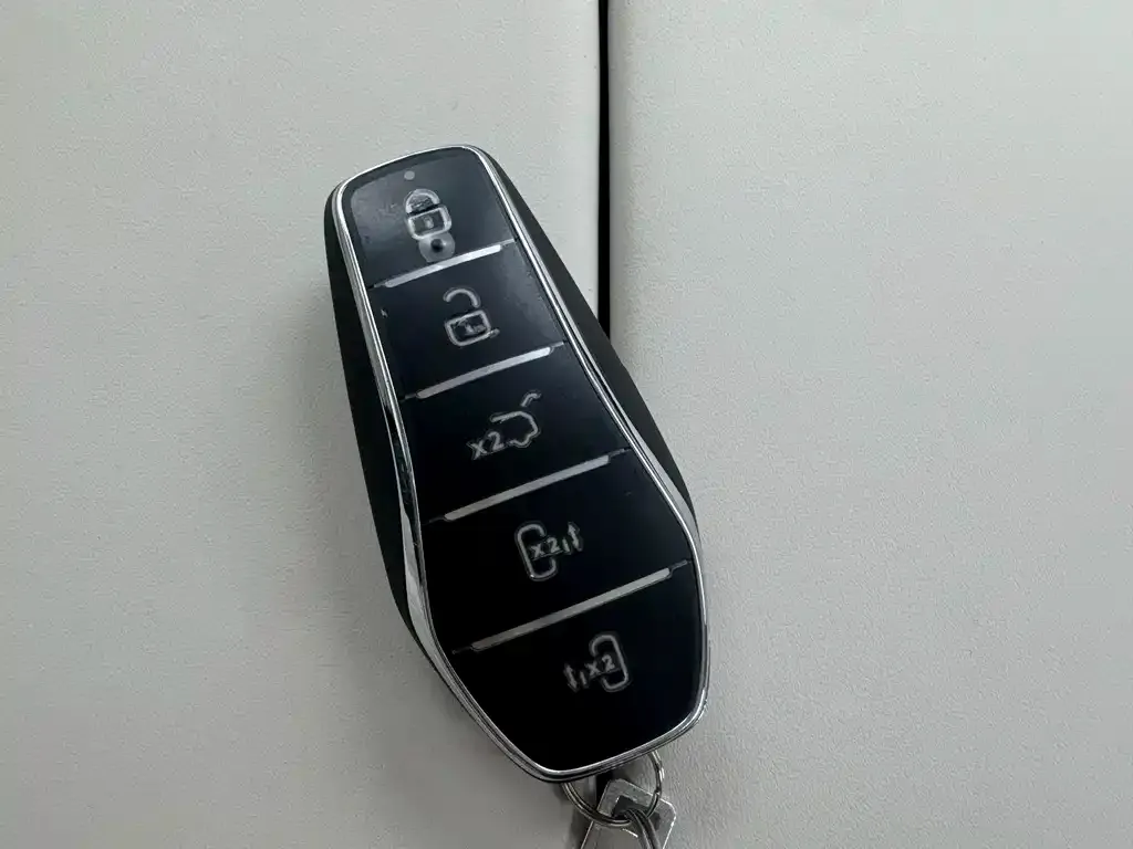 BYD Xia 2025 из CN, фото 8