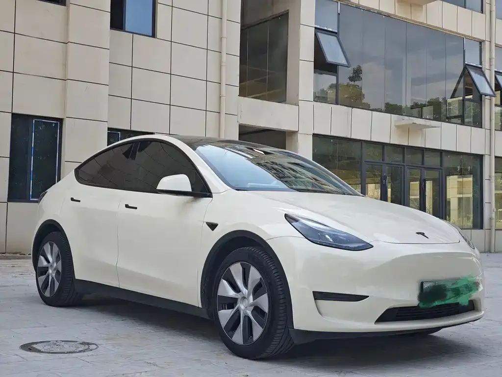 Tesla Model Y — фото 2