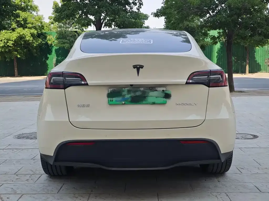 Tesla Model Y — фото 9