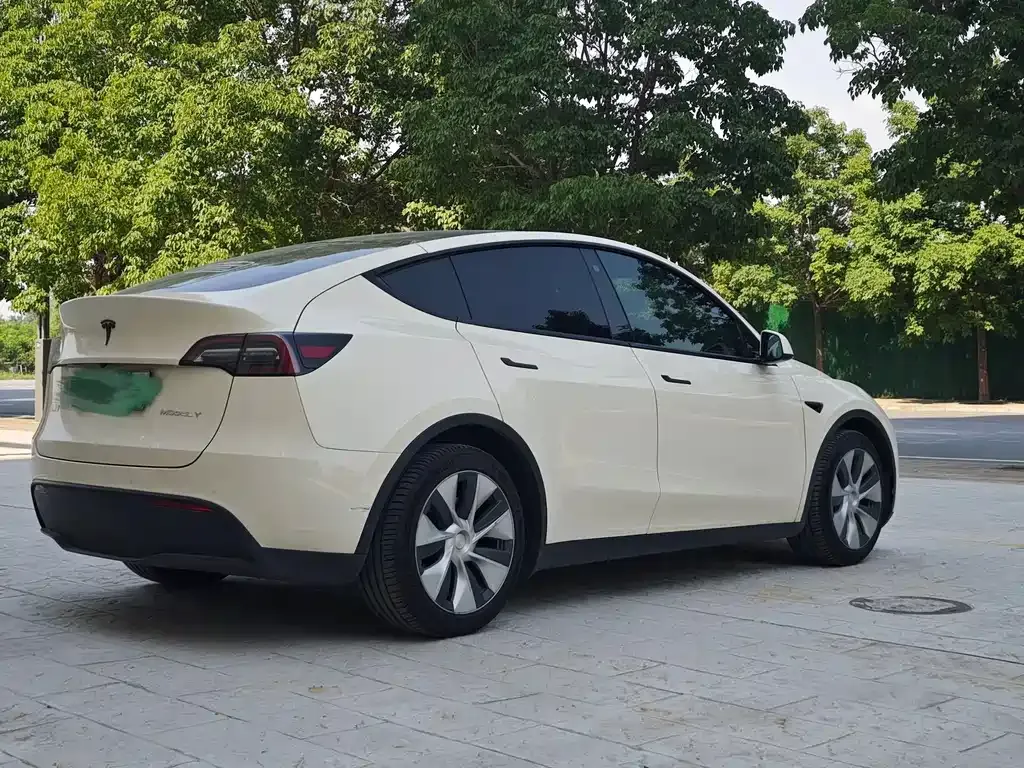 Tesla Model Y — фото 10