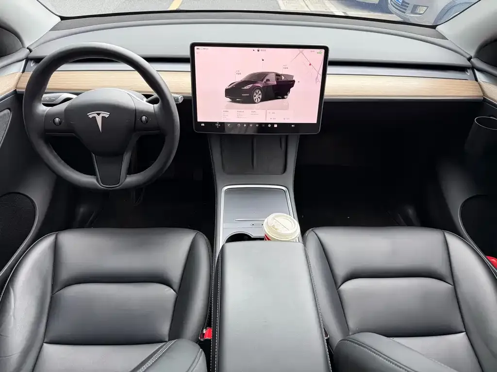 Tesla Model Y — фото 10