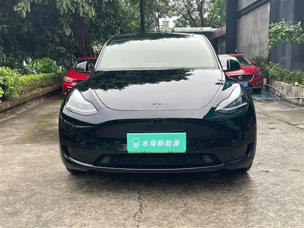 Tesla Model Y — фото 2