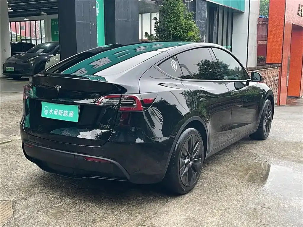 Tesla Model Y — фото 3