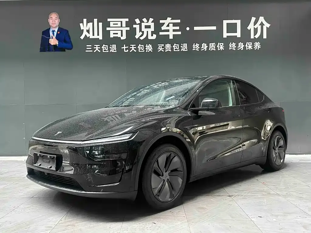 Tesla Model Y — фото 1