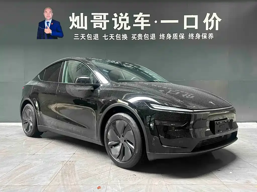 Tesla Model Y — фото 5
