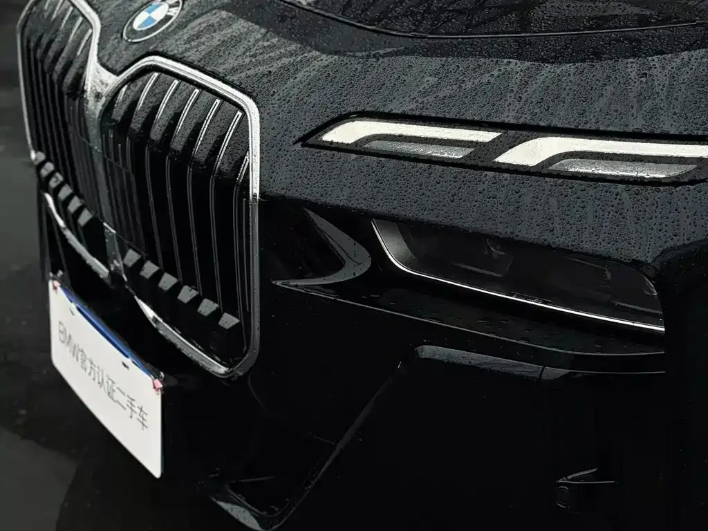 BMW 7 Series 2025 из CN, фото 4