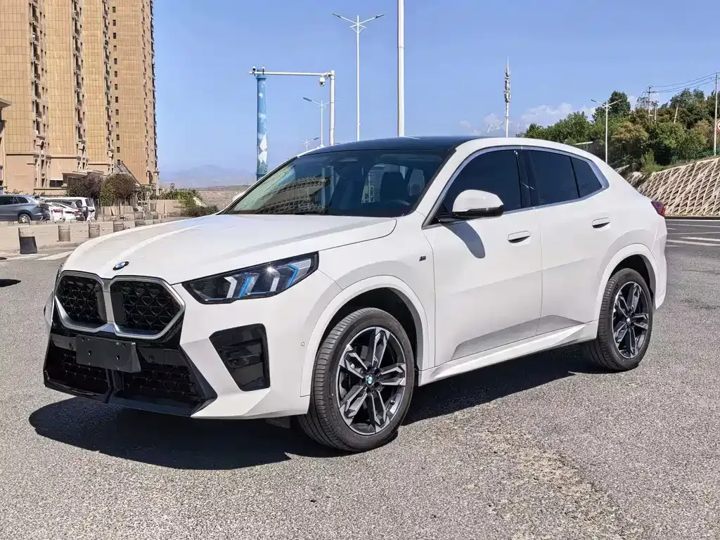 BMW X2 (Import) — фото 1