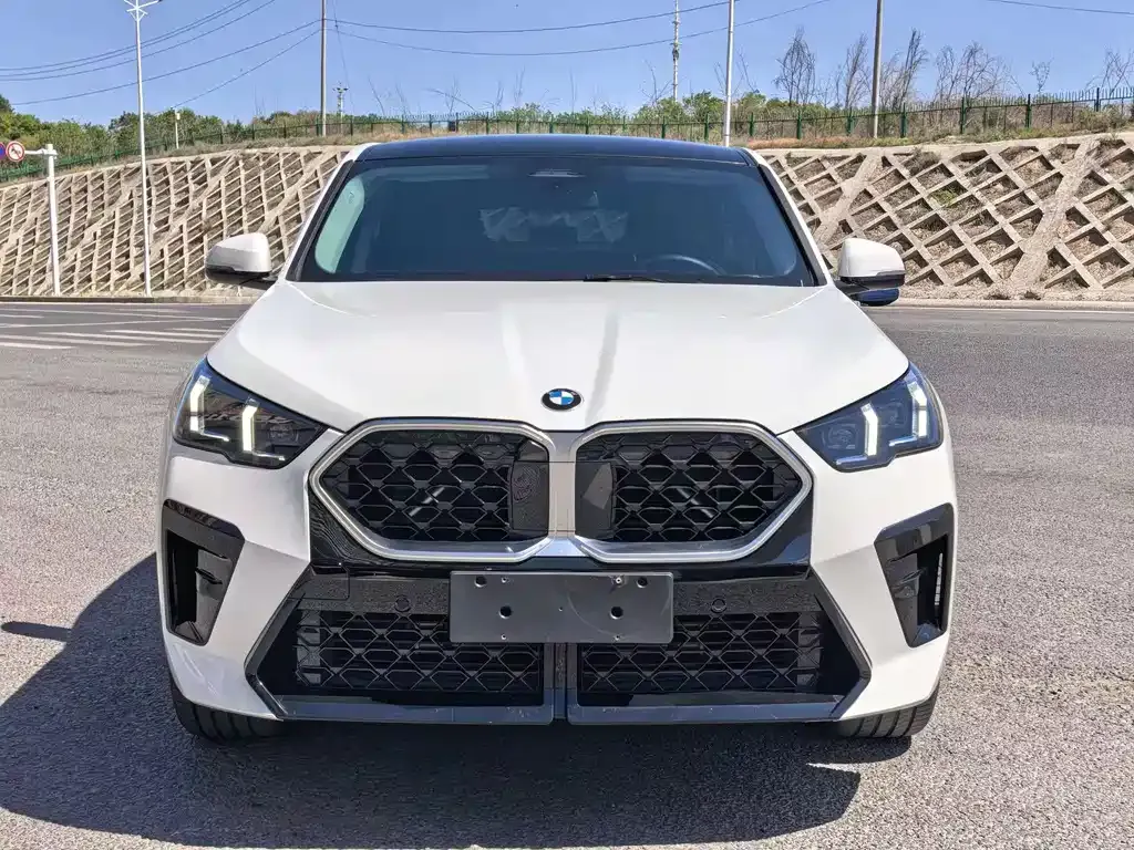 BMW X2 (Import) — фото 10