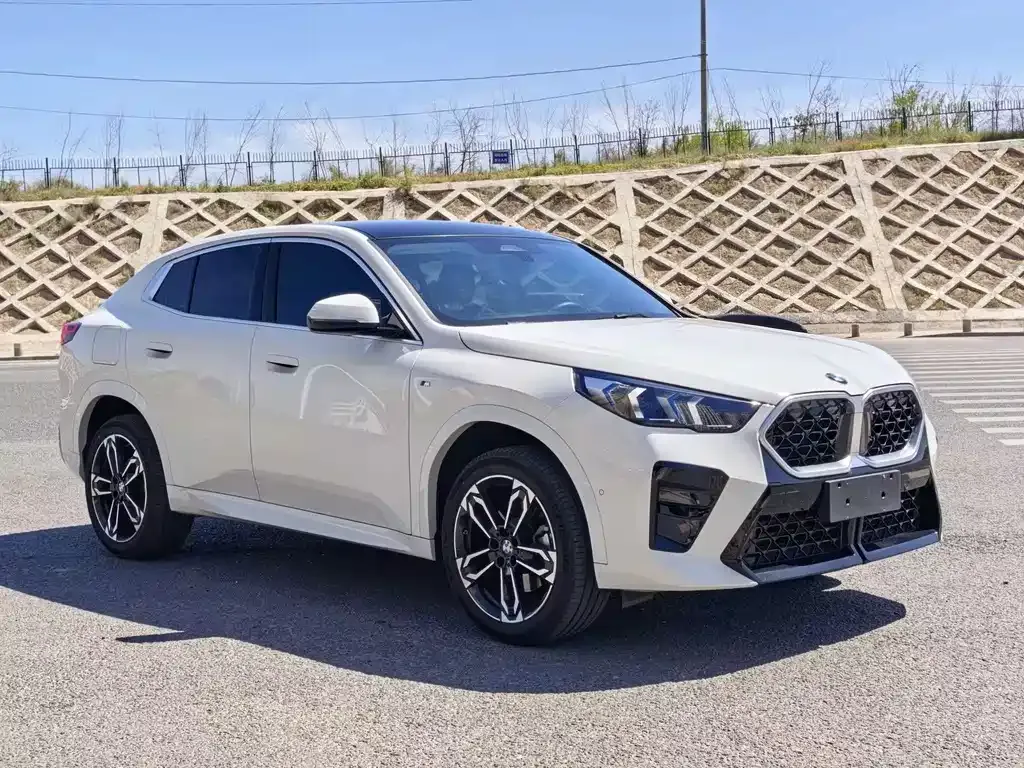 BMW X2 (Import) — фото 4