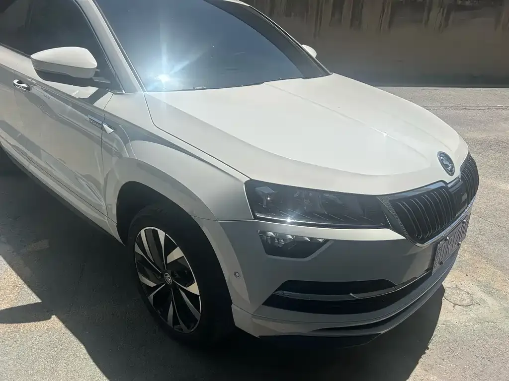 Skoda Karoq — фото 6