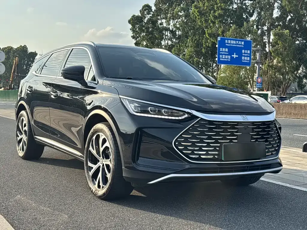 BYD Tang New Energy — фото 10