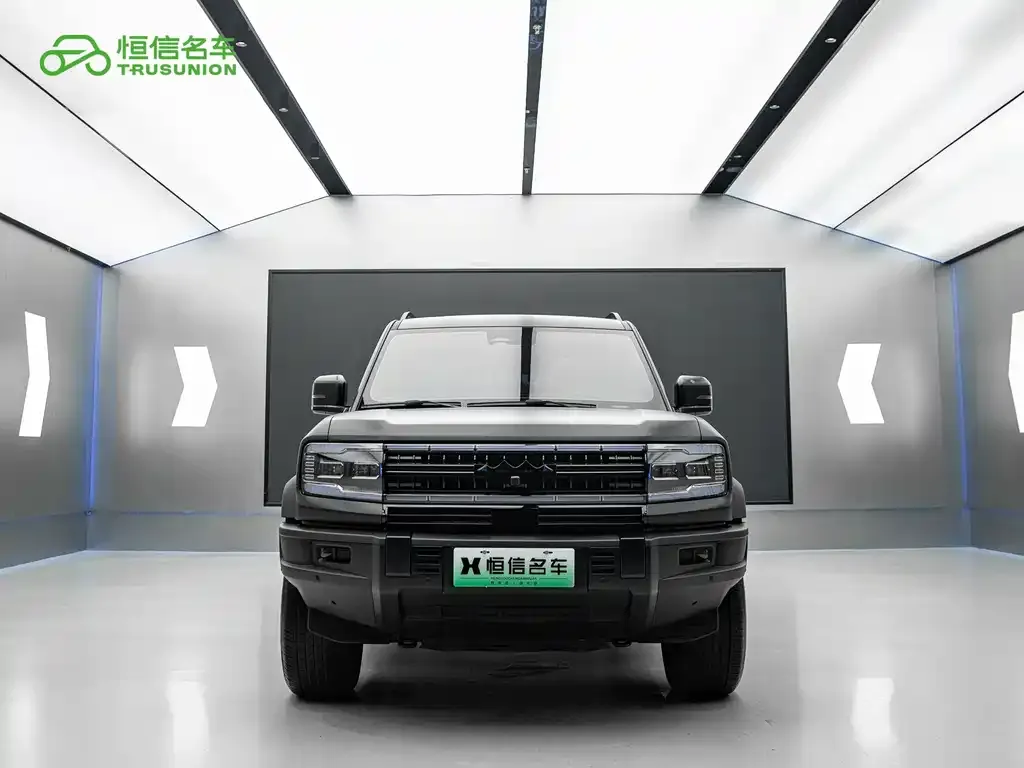 Fang Cheng Bao Leopard 5 2025 из CN, фото 6