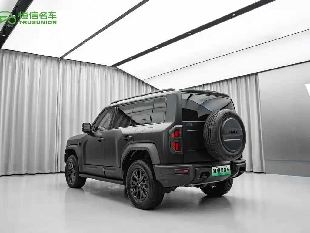 Fang Cheng Bao Leopard 5 2025 из CN, фото 7