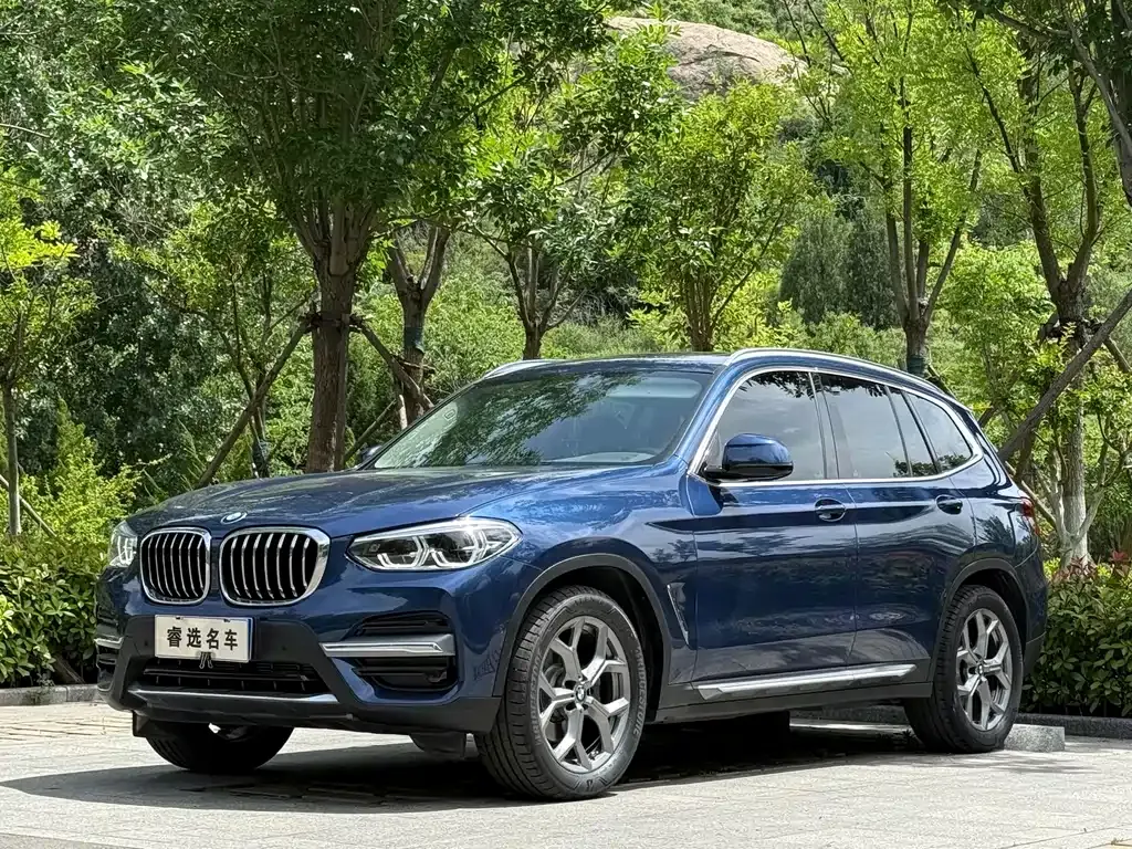 BMW X3 2021 из CN, фото 7