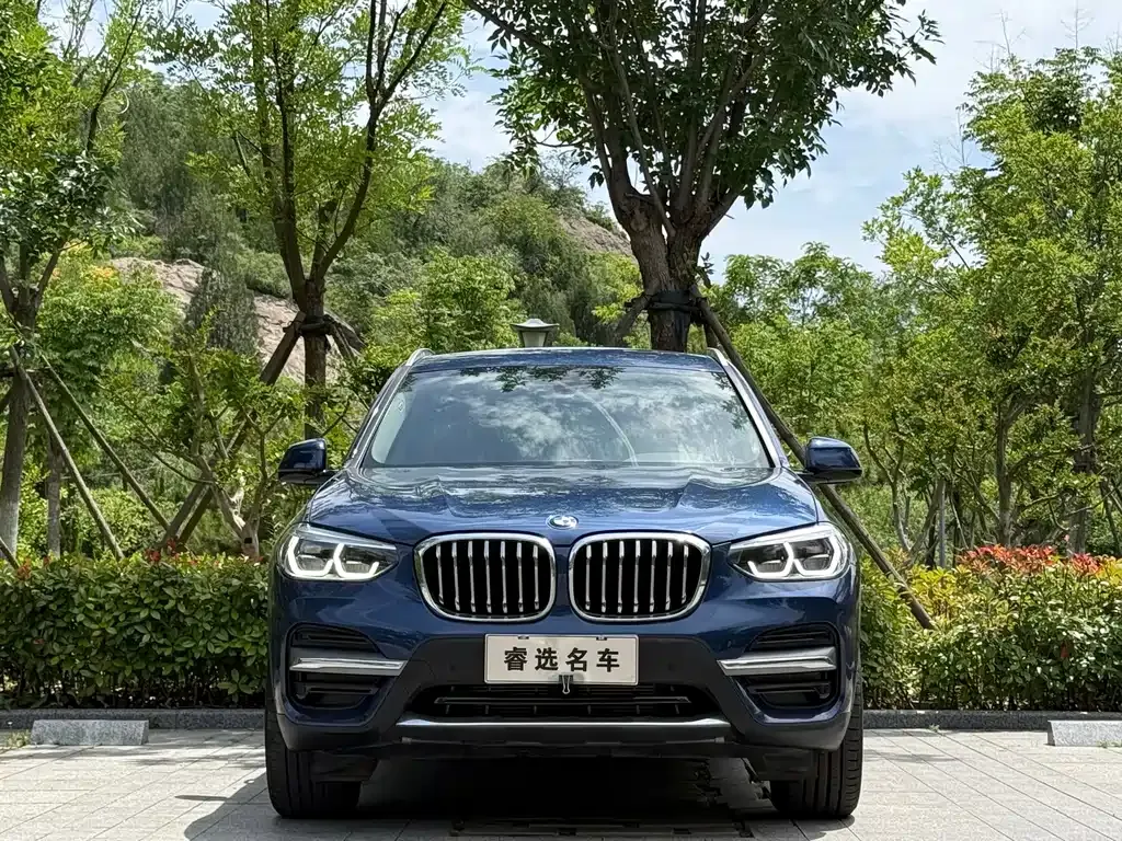 BMW X3 2021 из CN, фото 5