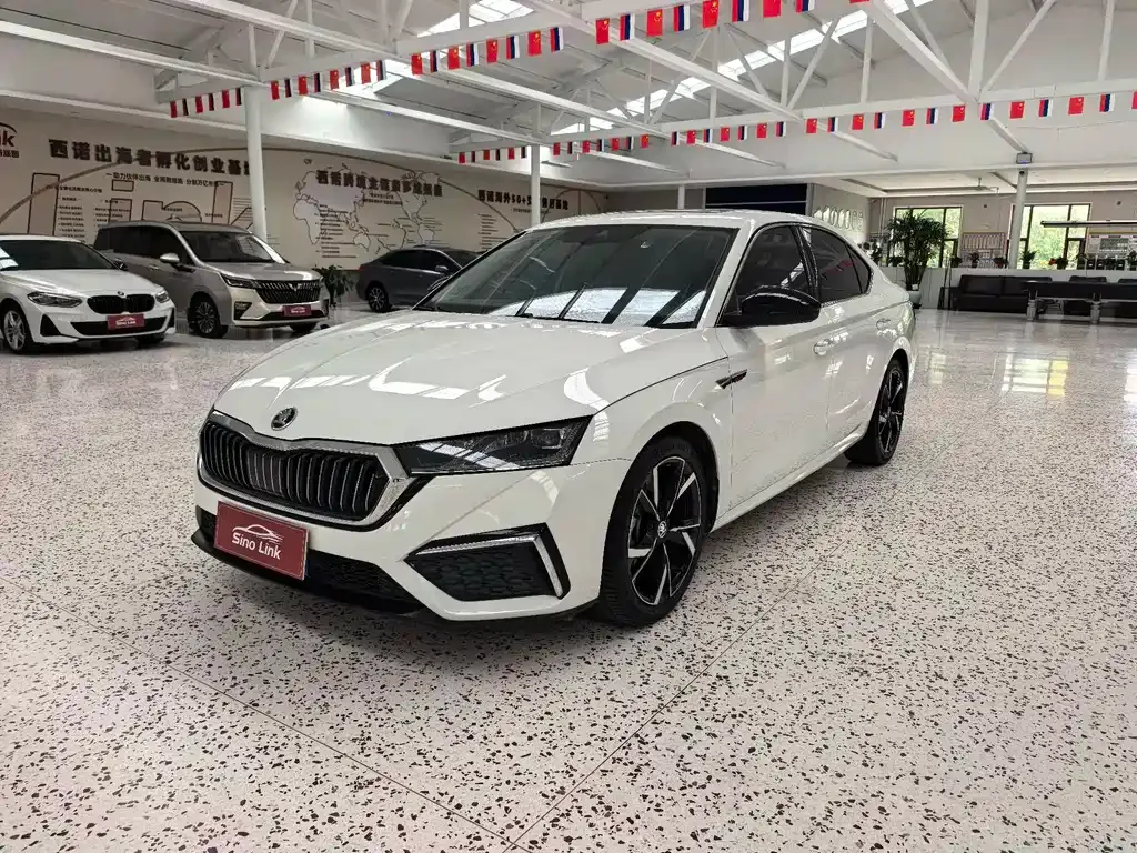 Skoda Octavia — фото 1