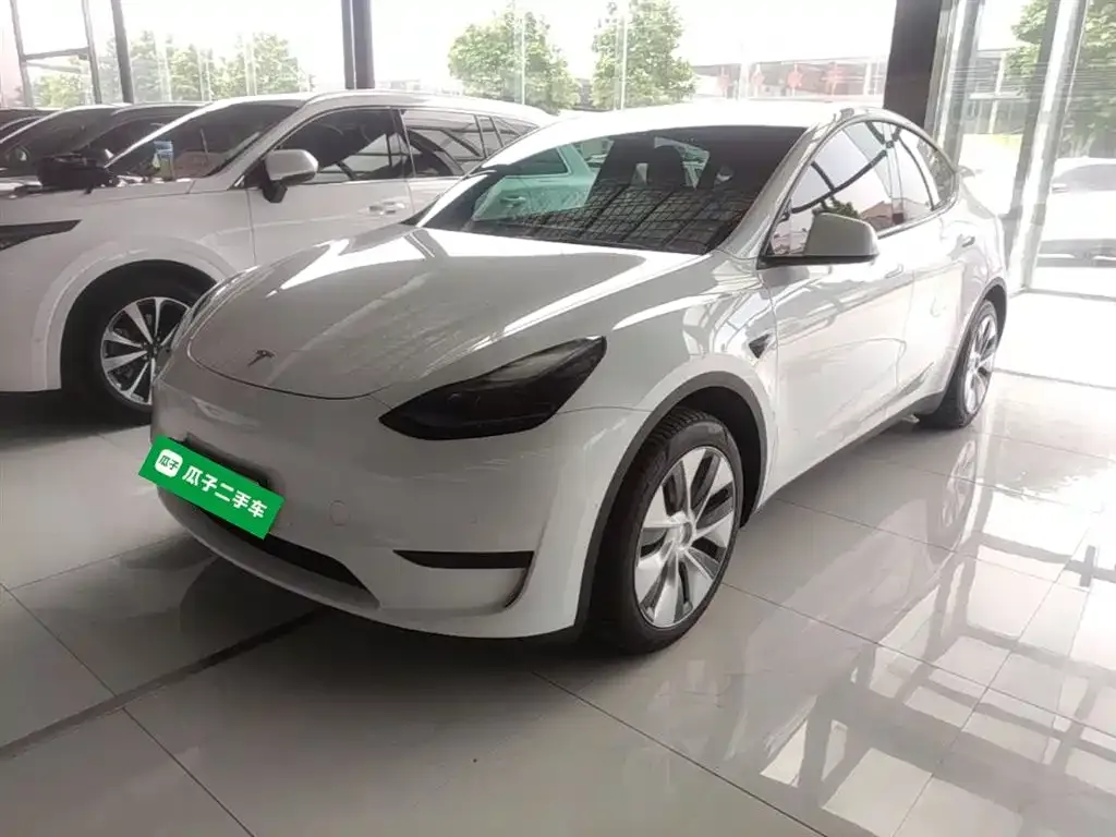 Tesla Model Y — фото 8