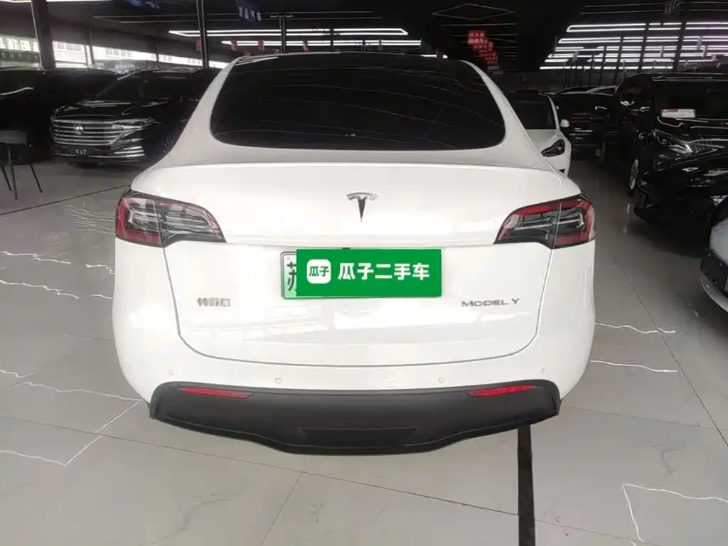 Tesla Model Y — фото 3