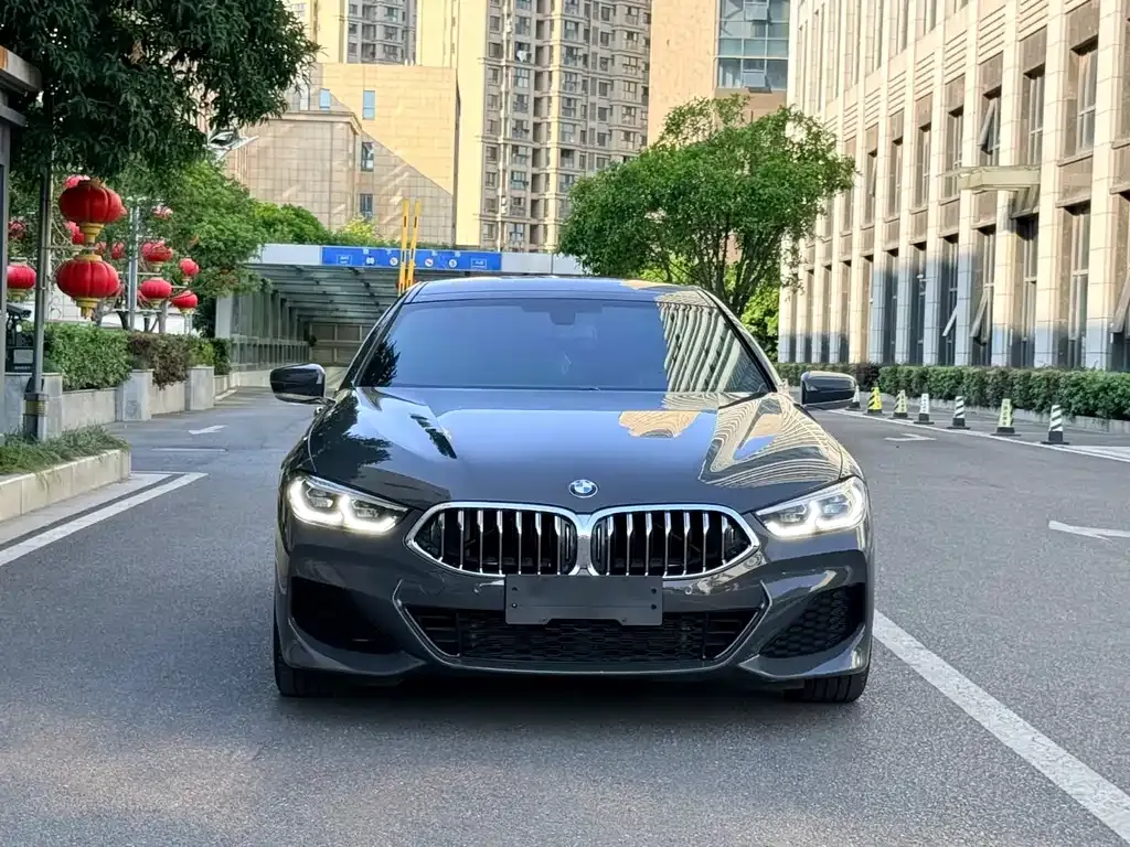 BMW 8 Series 2022 из CN, фото 6