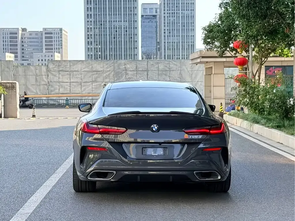 BMW 8 Series 2022 из CN, фото 10