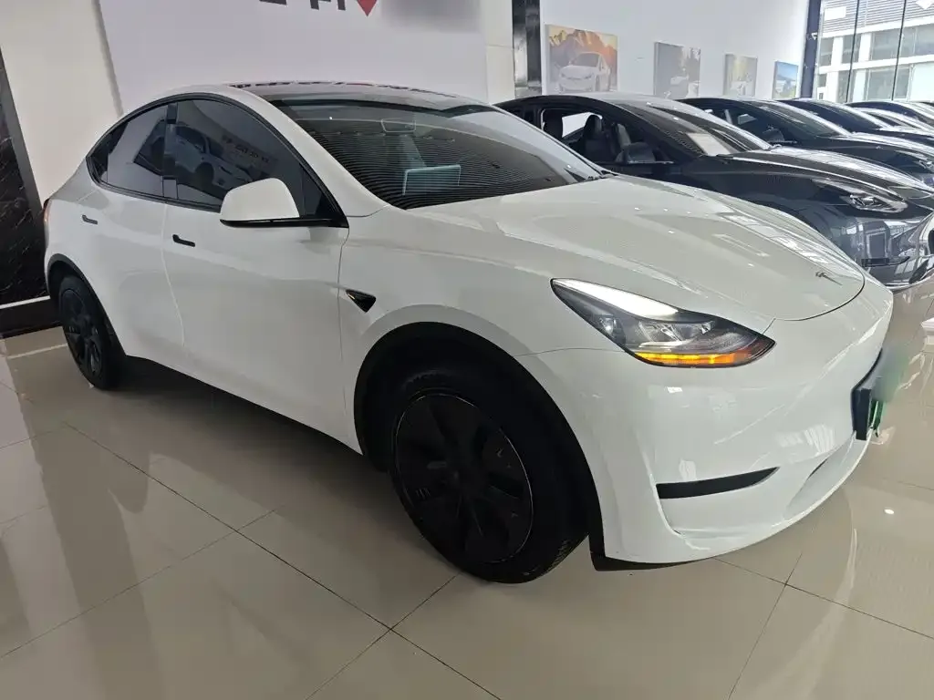 Tesla Model Y — фото 3
