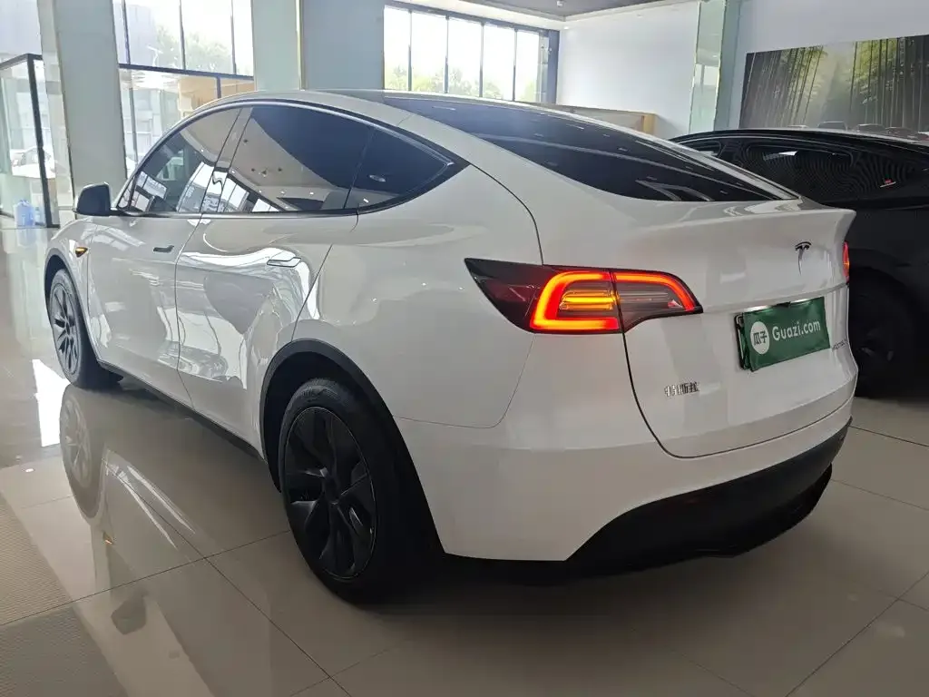 Tesla Model Y — фото 9