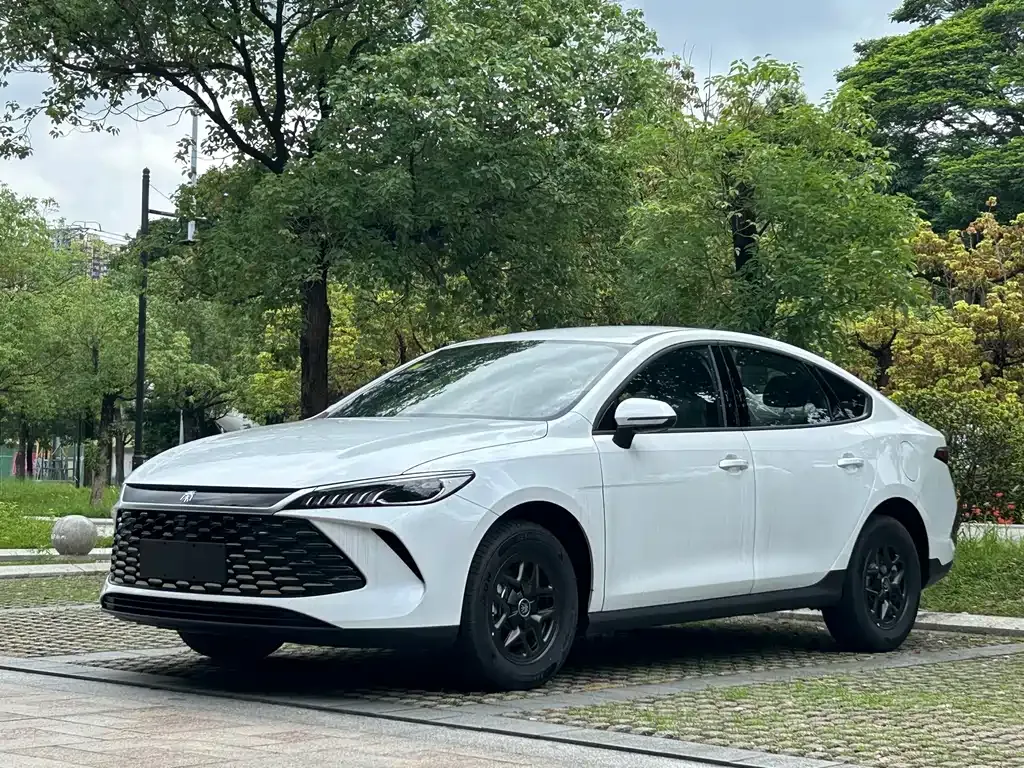 BYD Qin PLUS — фото 1