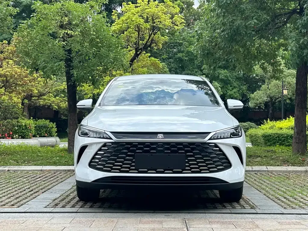 BYD Qin PLUS — фото 7