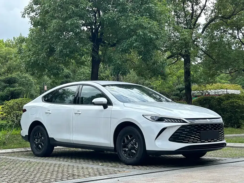 BYD Qin PLUS — фото 10