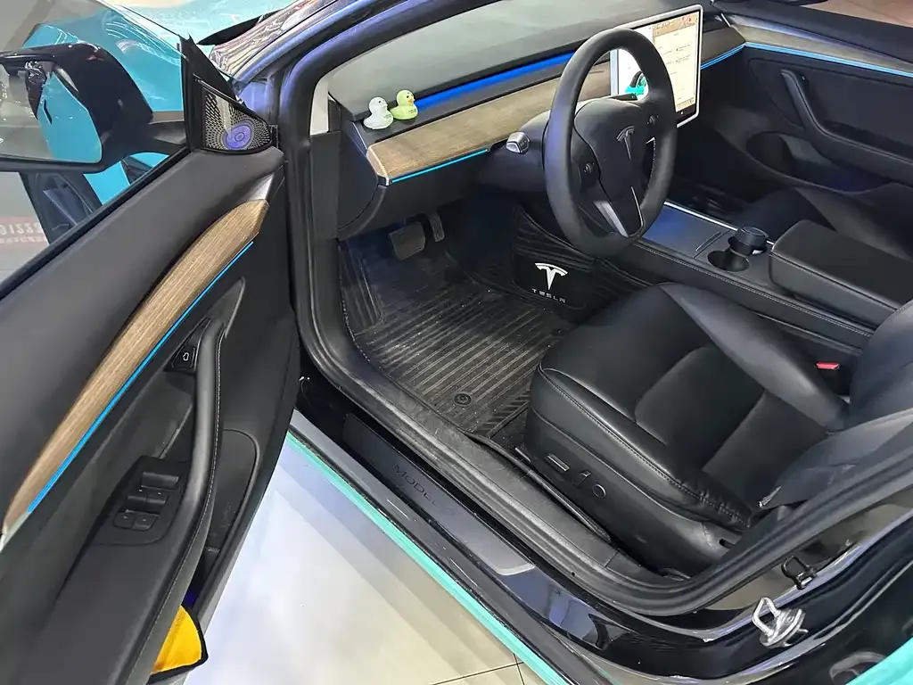 Tesla Model 3 2021 из CN, фото 9