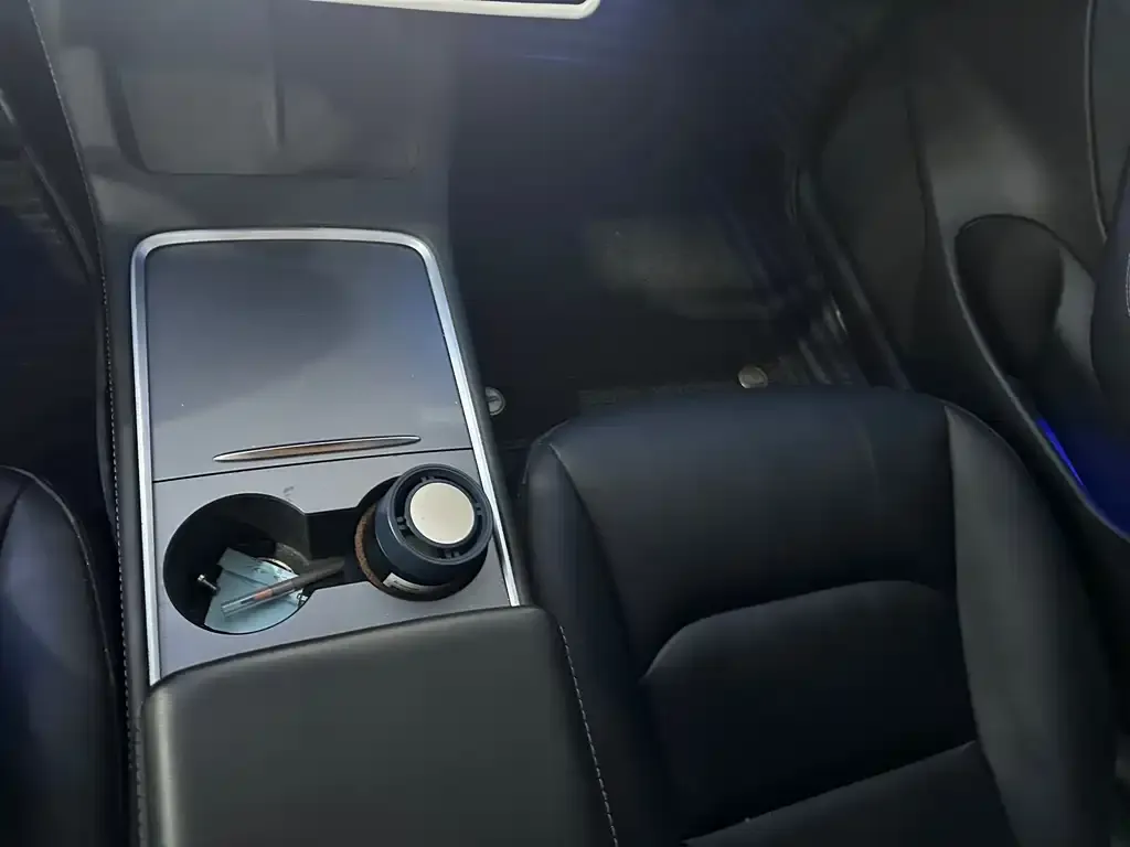 Tesla Model 3 2021 из CN, фото 7