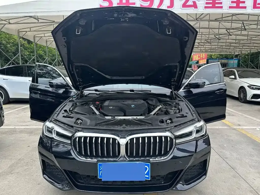 BMW 5 Series 2021 из CN, фото 7