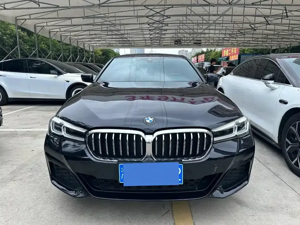 BMW 5 Series 2021 из CN, фото 5