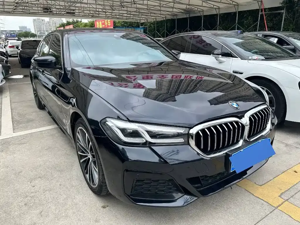 BMW 5 Series 2021 из CN, фото 9