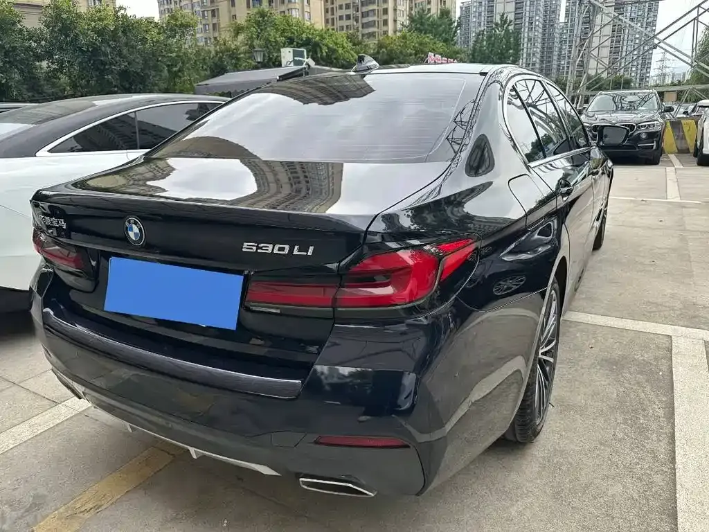 BMW 5 Series 2021 из CN, фото 2