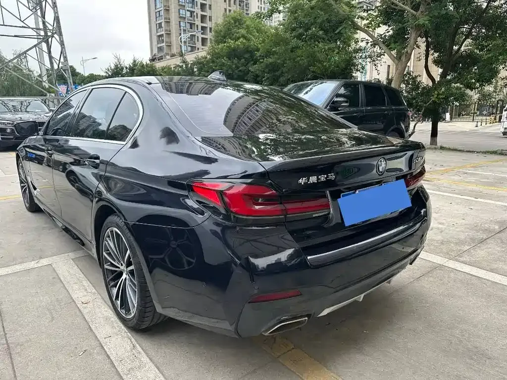 BMW 5 Series 2021 из CN, фото 6