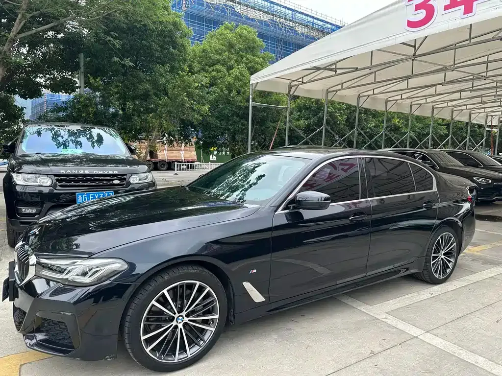 BMW 5 Series 2021 из CN, фото 10