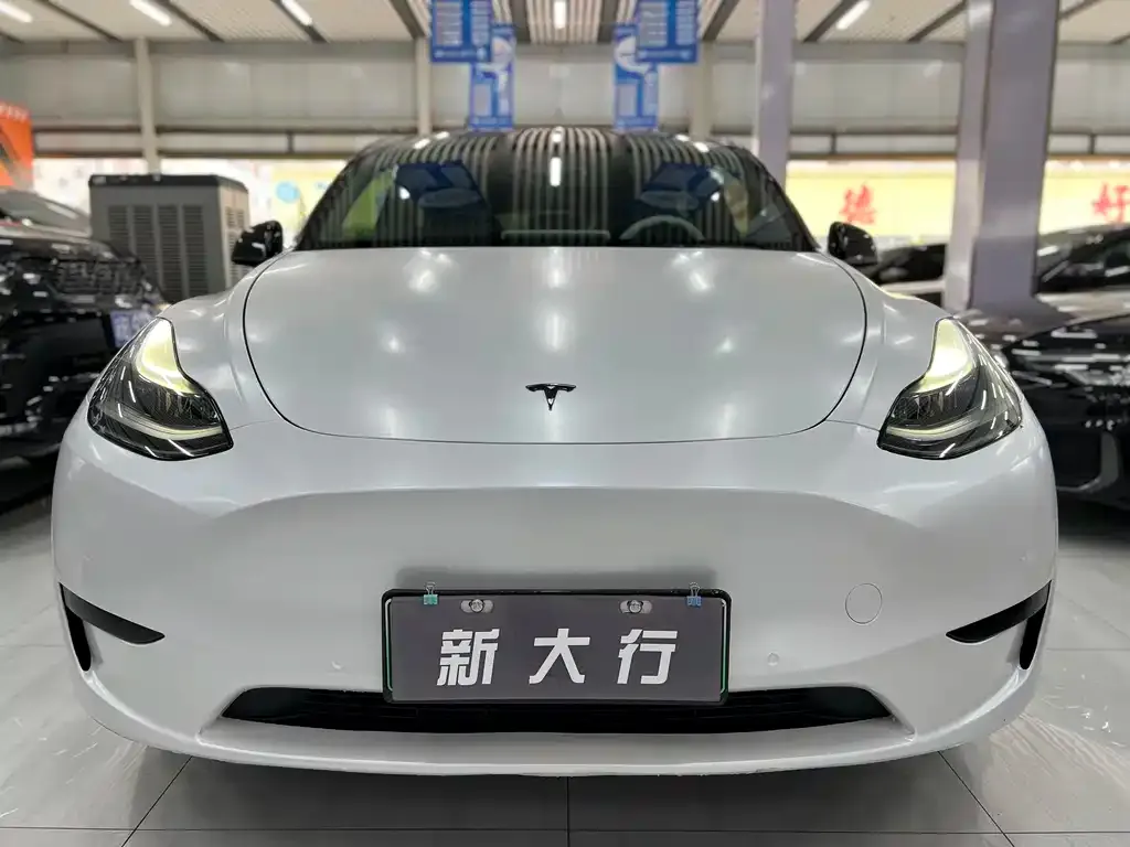 Tesla Model Y — фото 9