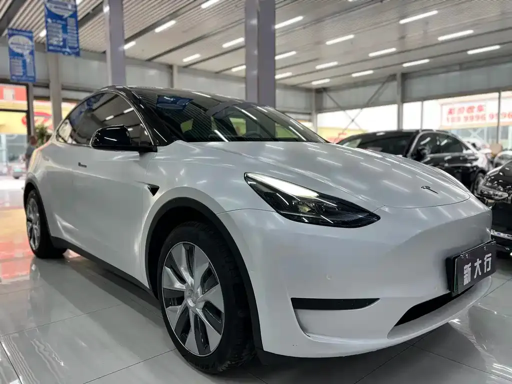 Tesla Model Y — фото 8