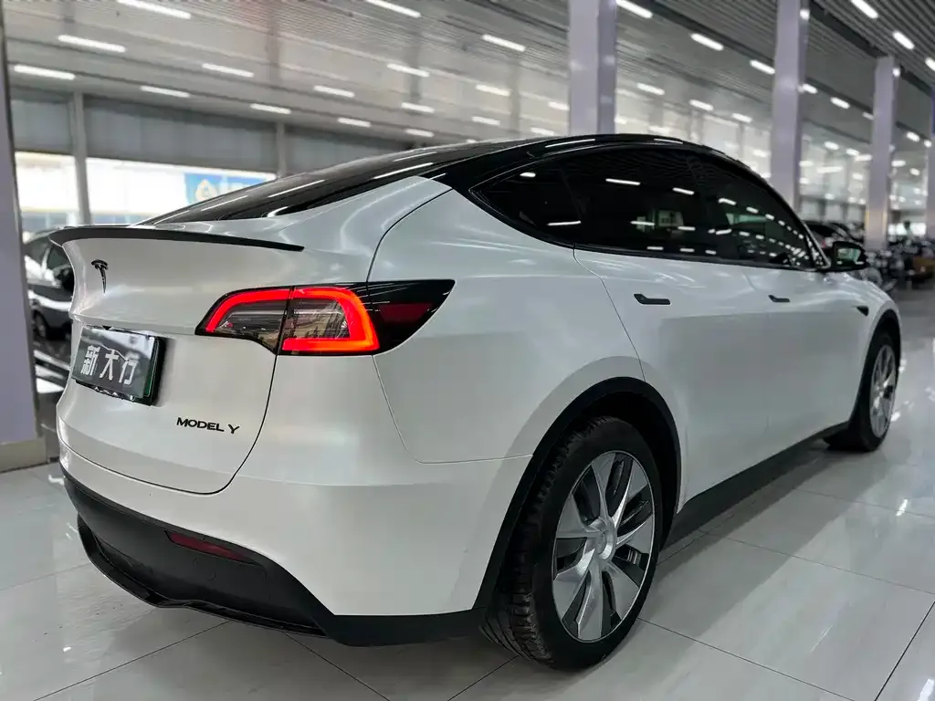 Tesla Model Y — фото 3