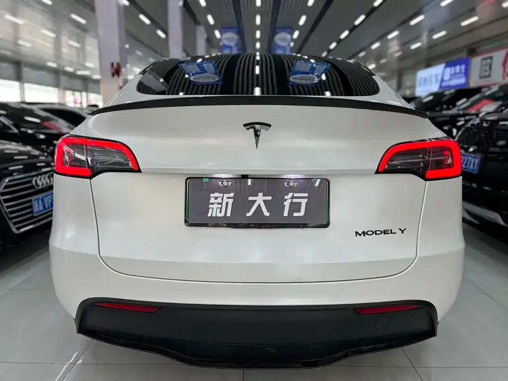 Tesla Model Y — фото 6