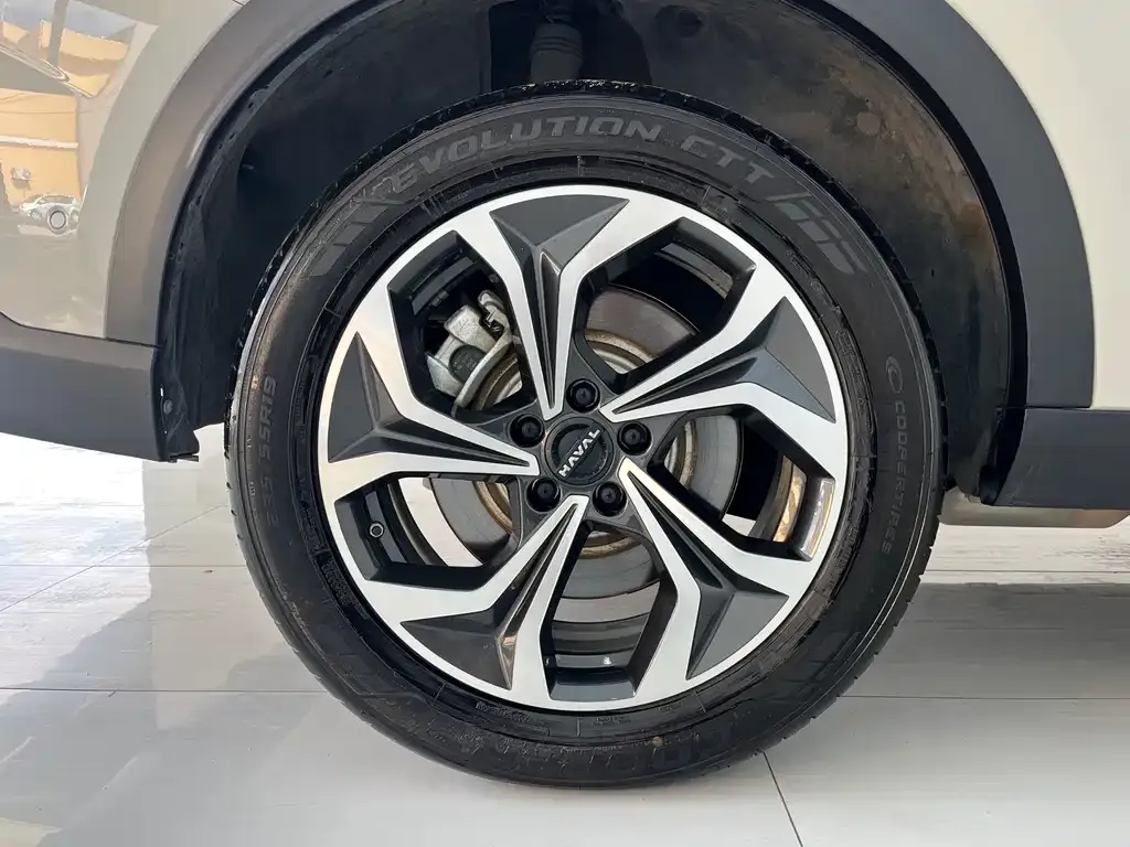 Haval Xiaolong MAX 2025 из CN, фото 6