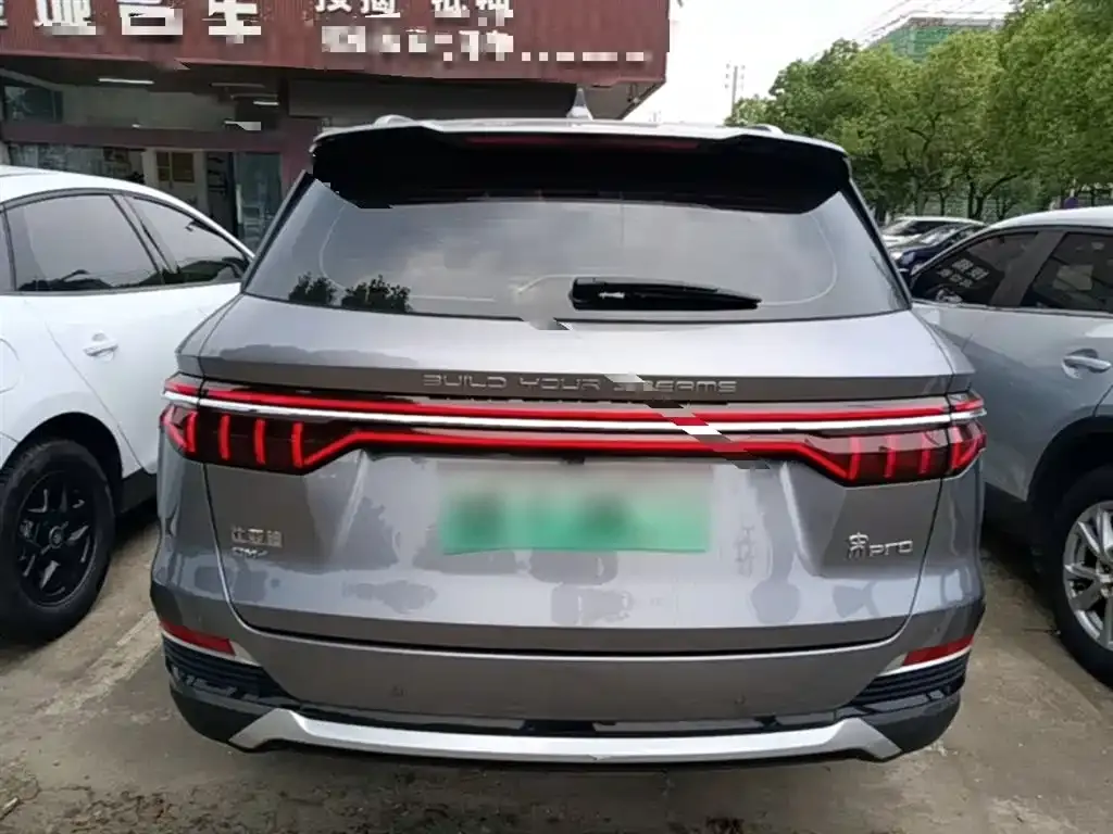 BYD Pro New Energy 2023 из CN, фото 3