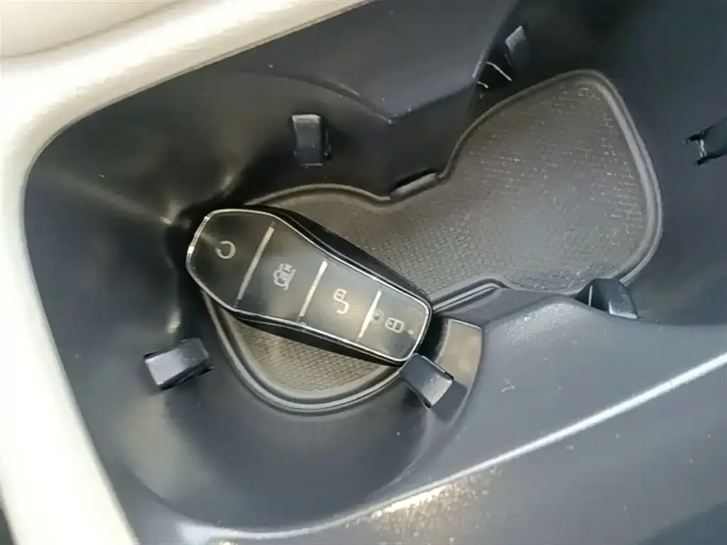 BYD Pro New Energy 2023 из CN, фото 5