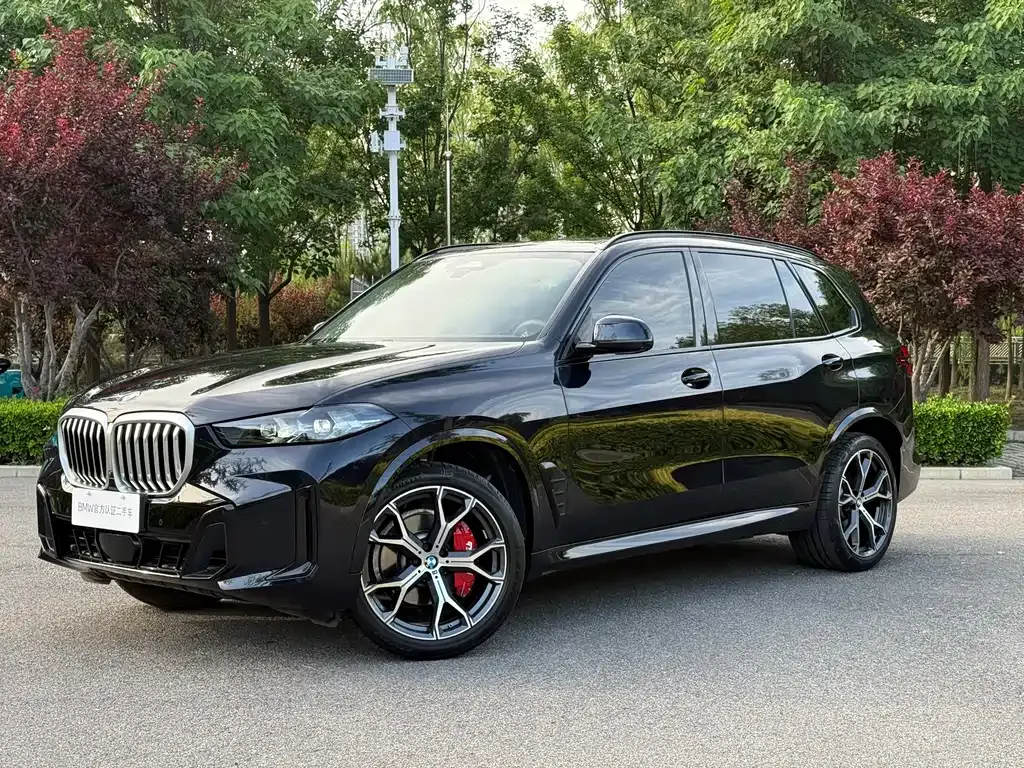 BMW X5 — фото 1