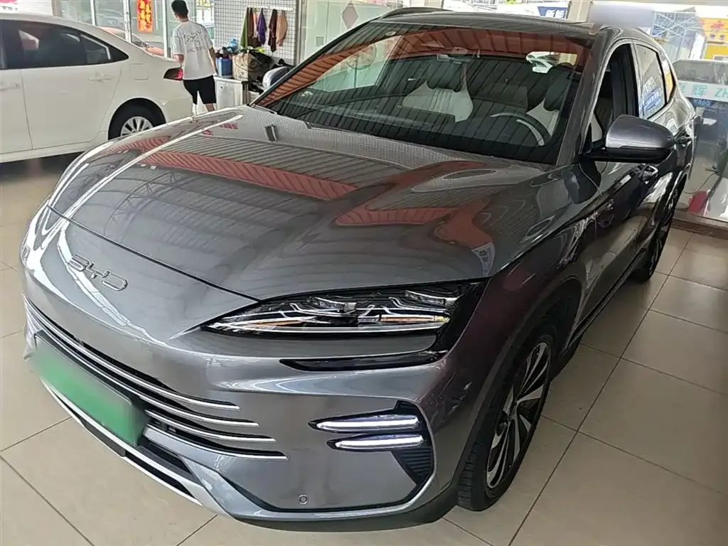 BYD PLUS New Energy — фото 1