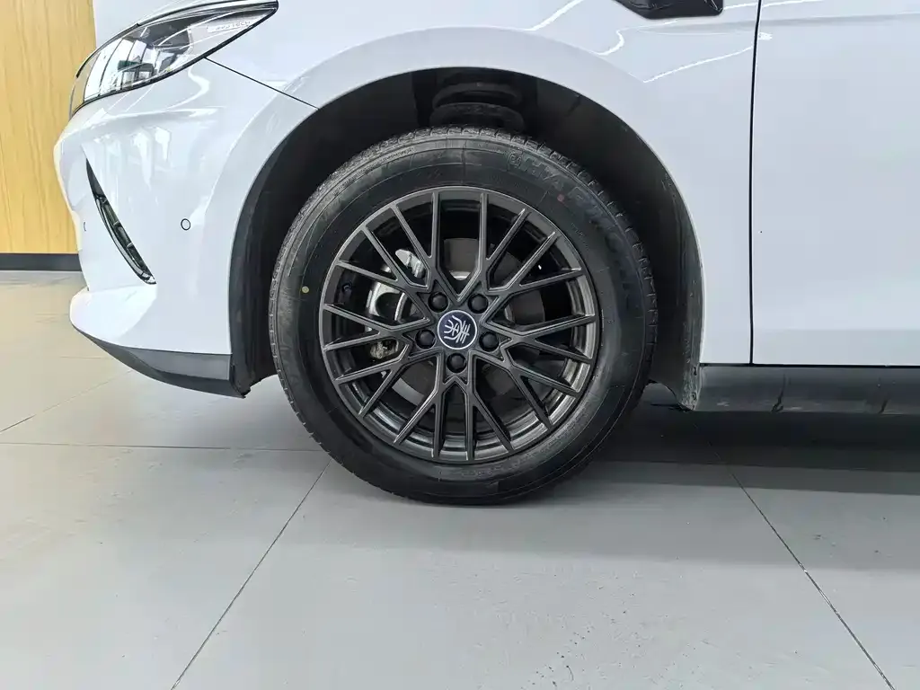 BYD Qin PLUS — фото 6