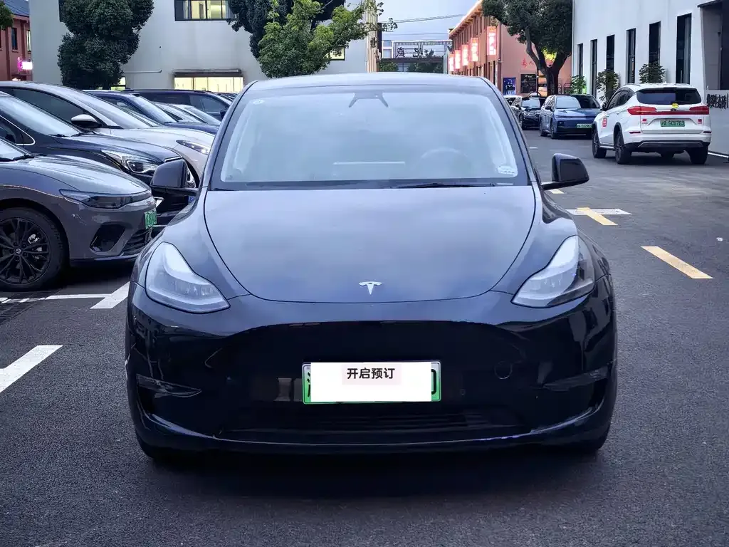 Tesla Model Y — фото 1
